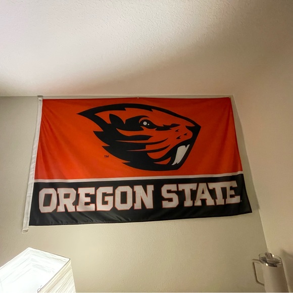 New Oregon State flag, excellent condition! - Picture 2 of 2